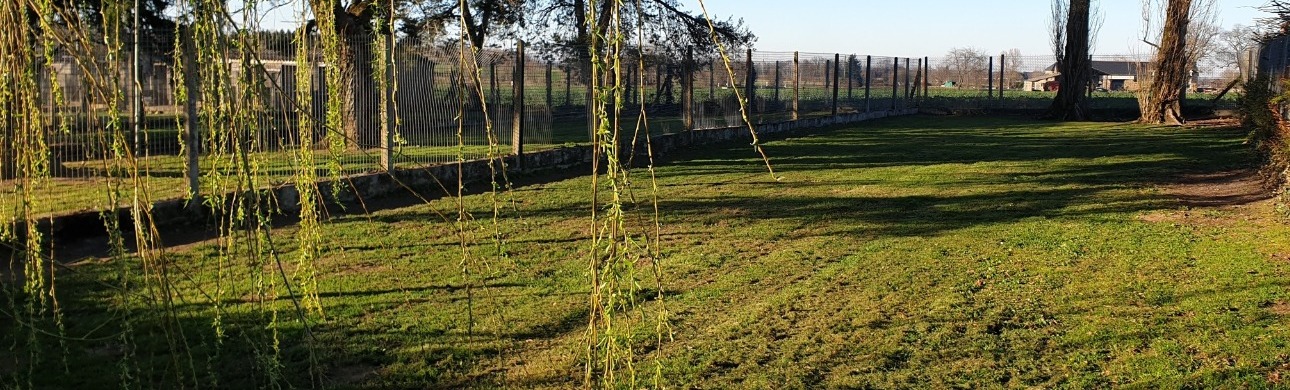 parc de verdure et détente pour chien