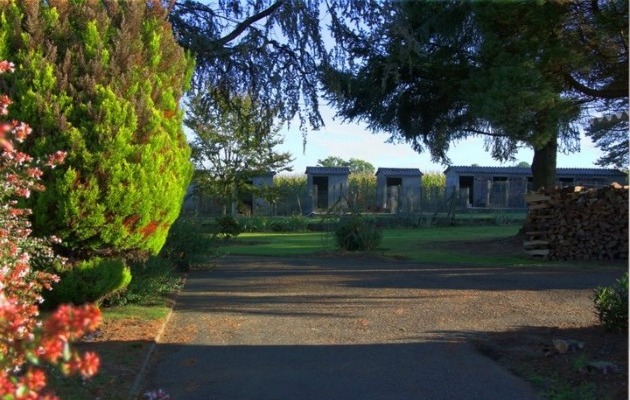 Parcs de verdure et box pour la garde de vos chiens